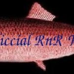 rnr-fish.jpg